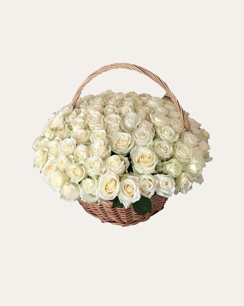 A 100 reasons white rose