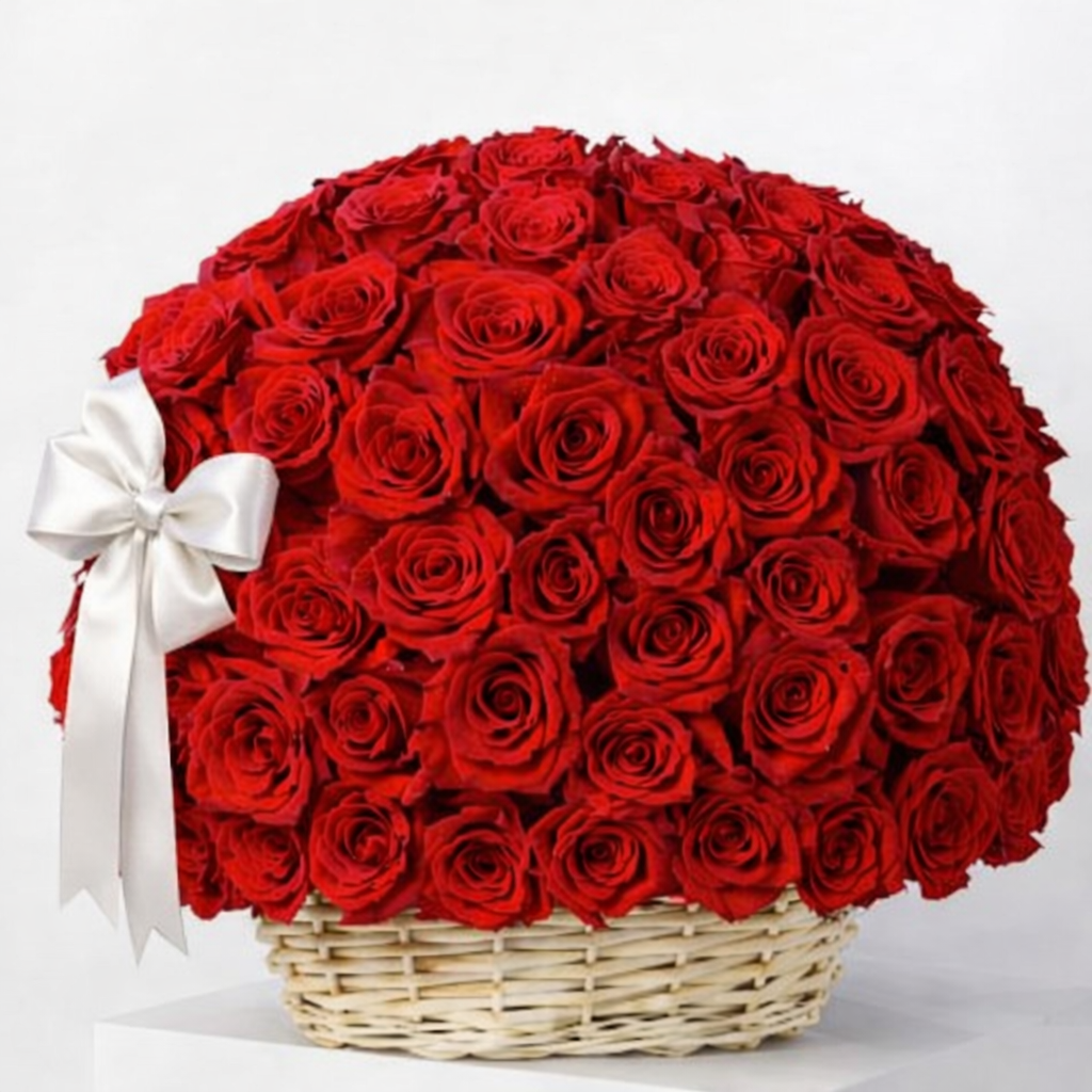 A 100 reasons red rose