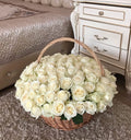 A 100 reasons white rose