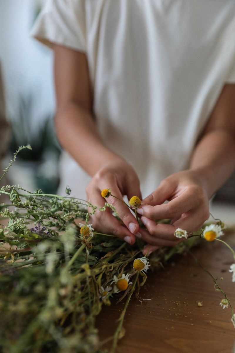 I’m with you signature chamomile 🌼