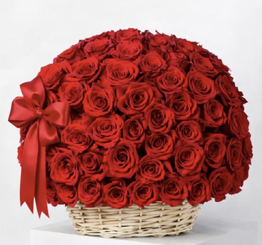 A 100 reasons red rose